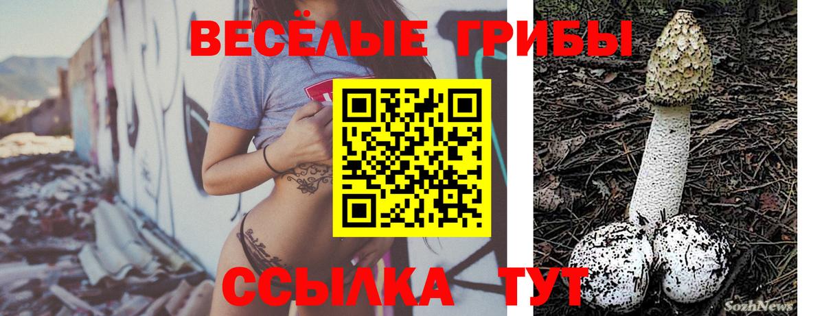 Шелехов  как найти закладки  Вход с VPN  Псилоцибиновые грибы Magic Shrooms 
